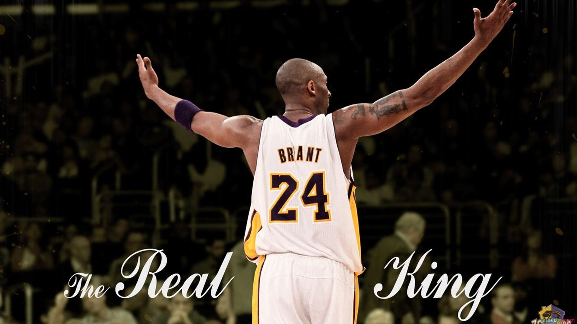 米兰官网-成绩背后：蛙泳转身距离的秘密，蛙泳转身慢动作示范